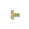 1.6 x 4.4 x 2.8 Stay-Tight Gold Hinge Screw (pack of 100)