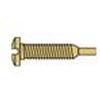 1.3 x 9.0 x 2.5 Stay-Tight Self-Tapping Gold Hinge Screw (pack of 50)