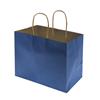 NON-IMPRINTED BLUE Kraft Bags - Large 10 W x 6 D x 8" H (100/box)