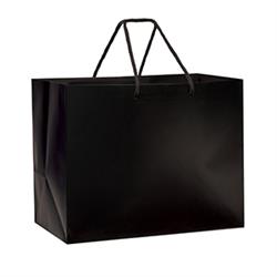 Large Paper Bag 10"W x 6 "D x 8"H (100/box)