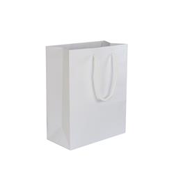 NON-IMPRINTED WHITE Small Paper Bag 6.5 W x 3.25 D x 8" H (100/box)