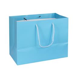NON-IMPRINTED SKY BLUE Large Paper Bag 10 W x 6 D x 8" H (100/box)
